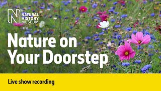 Nature on Your Doorstep | Live Talk with NHM Scientist