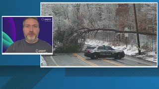 Heavy snow weighed on trees across the DMV due to weekend storms causing power outages