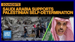 Saudi Arabia Supports Palestinian Self-Determination | ECFR | Dawn News English