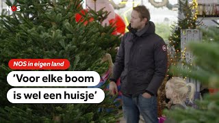 Topdrukte voor kerstboomverkopers