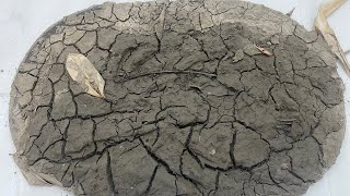 Carpet Cleaning as dry as the Atacama Desert in 100 years.