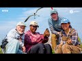 project puffin how puffins are making a comeback in maine