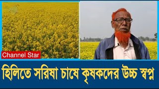 দিনাজপুরের হিলিতে দিগন্ত জোড়া মাঠে সরিষার হলুদ ফুলII dinajpurer hilite sorisha ful