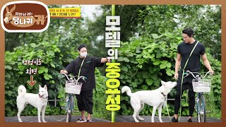 다니엘 헤니의 대역으로 양치승...? 다른 그림 찾기 START! [사장님 귀는 당나귀 귀/Boss in the Mirror] | KBS 201004 방송