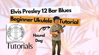 Learn 12 Bar Blues (Elvis Presley’s Hound Dog) BEGINNER Tutorial PART ONE: Open Chords