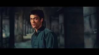 Bruce Lee Chuck Norris The Fight In The Coliseum 2020