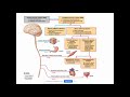 Unit 3 Exam   Overview of Chapter 12