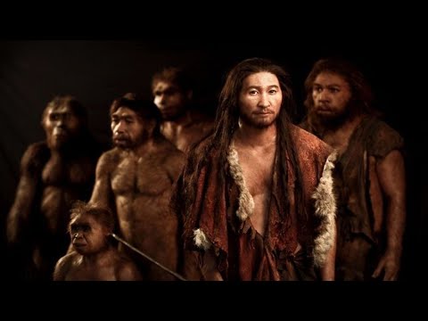 What are the classification levels of humans from order to species anthropology quizlet?