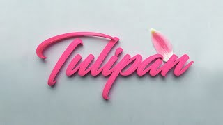 Press Hit Play - Tulipan [Official Lyric Video]