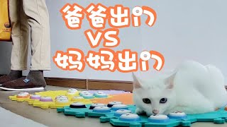 小猫咪能有多双标？之粑粑麻麻出门篇【特辑5】