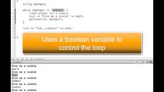 C++ while Loop Types
