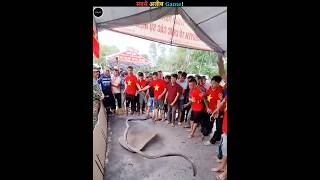 The Vietnamese Stone Cannon | #shorts