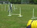 alicia and suzie doing agility at camp dogwood