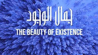 The Beauty Of Existence  By Muhammad Al Muqit । Heart Touching Islamic Song ......  Musafir Tube