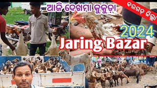 ଆଜି ଦେଖମା କୁକୁଡ଼ା ବଜାର//Jaring Bazar Bargarh odisha 2024#westarnodishafarming,Goats,cow 🐄 desikukuda