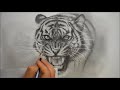 연필드로잉 동물 호랑이 그리기 drawing animal how to draw a tiger