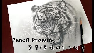 연필드로잉 - 동물(호랑이)그리기 [ Drawing animal/How to draw a tiger ]