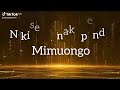 Msomari_uongo