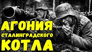 Они плакали, ругались, но продолжали жрать конину | Письма с фронта