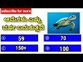 ಇದು ನಿಮಗೆ ಗೊತ್ತೆ ⁉️ ಕನ್ನಡ ರಸಪ್ರಶ್ನೆ gk kannada mcq