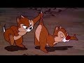 ᴴᴰ Pato Donald y Chip y Dale dibujos animados - Pluto, Mickey Mouse Episodios Completos Nuevo 2019