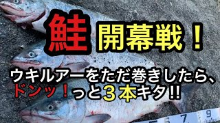 ［鮭釣り］開幕戦！浮きルアーをただ巻きしたら、ドンッ！と３本キタ‼︎