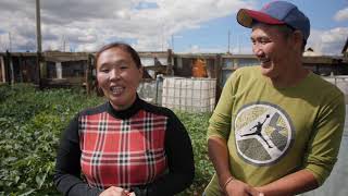 Nalaikh District Agriculture (growing vegetables) Mongolia.