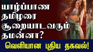 யாழில் நடிகை தமன்னா பற்றி வெளியான அதிர்ச்சி | #jaffna #hariharan #tamannaah #music #ramba #news