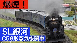 【爆煙！】春の釜石線を力走！ ”SL銀河” C58 239 ”銀河ドリームライン”  Japanese Steam Locomotive type-C58 runs with big smoke