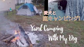 ボクサー犬と一緒に庭キャンプ🐕🪵/ Yard Camping with My Dog! (Part.2)