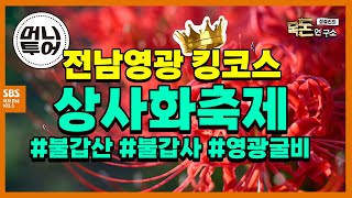 [목돈연구소-머니투어] 투자자들이 가장 열광하는 색깔여행. 가을 빨강 트립 with 매일경제 신익수 기자