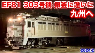 【JR貨物 EF81 303号機 銀釜に逢いに九州へ 2024.2】