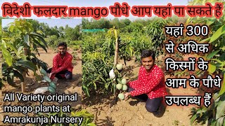 Amrakunja Nursery | आप यहां 300 से अधिक आम की किस्में प्राप्त कर सकते हैं | Original Mango Plants