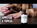 CBD Isolate Tincture