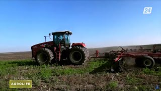 Аграрлық салаға несие берудің тиімділігі | Agrolife