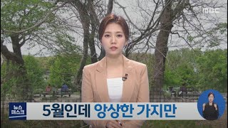 5월인데 앙상한 가지만-R 담양 관광명소 관방제림 (210511화/뉴스데스크)