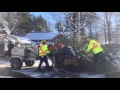 tree removals with 75 ton crane