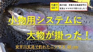 千歳でGO!! 第274回　早春の北海道安平川支流とママチ川で釣りました（3月20日）①。ニジマスが釣れました。