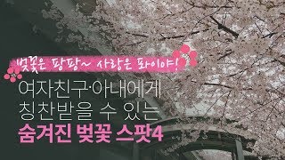 여친·아내에게 칭찬받을 수 있는 숨겨진 벚꽃 엔딩 스팟4