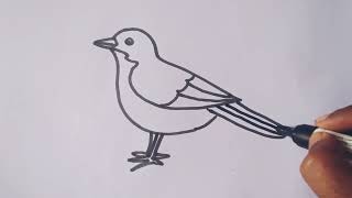 How to draw Robin bird drawing //easy step by step // Bird drawing