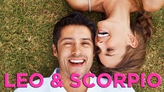 Are Leo & Scorpio Compatible? | Zodiac Love Guide