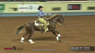 2017 AQHA Amateur Working Cow Horse