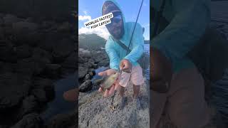 WORLD'S FASTEST FISH CATCH!