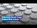 Indonesia Sudah Punya 83,9 Juta Vaksin COVID-19