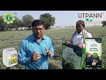 ચણા chickpea farmer got double growth using utpann organic fertilizer u0026 plant booster