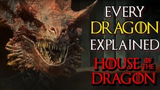 Every (20) Ferocious Dragons That Will Appear In House Of Dragons Series - Backs
