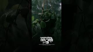 മക്കത്തുതിത്ത റസൂൽ | Coming Soon @MRMEDIA | Hafiz Jafar Vallapuzha