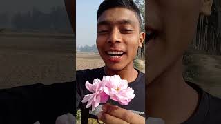 গোলাপ ফুল লাল #foryou #funny #viralvideo