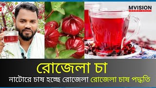 নাটোরে রোজেলা চাষ করে সফল হয়েছেন শহিদুল ইসলাম । Ways to eliminate unemployment Roselle