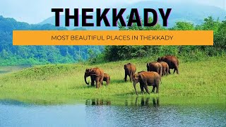 Thekkady - The best Tourist place in Kerala #shorts #viral